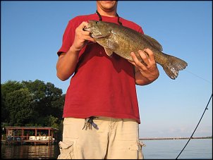 Click image for larger version

Name:	8.jpg
Views:	966
Size:	61.5 KB
ID:	3921