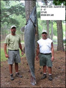 Click image for larger version

Name:	bb gar.JPG
Views:	1062
Size:	63.4 KB
ID:	3986