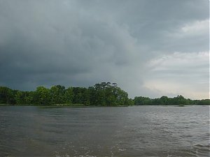 Click image for larger version

Name:	d.JPG
Views:	583
Size:	23.4 KB
ID:	404