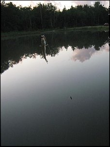 Click image for larger version

Name:	IMG_0354.JPG
Views:	802
Size:	50.7 KB
ID:	4075