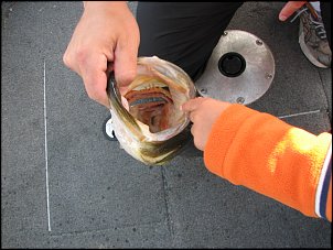 Click image for larger version

Name:	IMG_4347.JPG
Views:	1144
Size:	124.0 KB
ID:	4119
