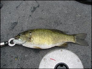 Click image for larger version

Name:	IMG_4459.JPG
Views:	768
Size:	161.2 KB
ID:	4271