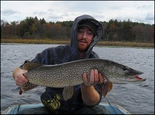 Click image for larger version

Name:	northern pike.jpg
Views:	421
Size:	70.0 KB
ID:	4359