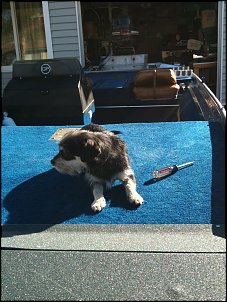 Click image for larger version

Name:	Sid on boat.jpg
Views:	2592
Size:	500.3 KB
ID:	4609