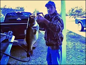 Click image for larger version

Name:	bigfish08.jpg
Views:	1060
Size:	62.4 KB
ID:	4638