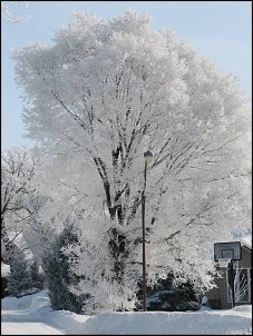 Click image for larger version

Name:	IMG_4742.JPG
Views:	705
Size:	140.1 KB
ID:	4734