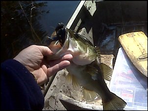 Click image for larger version

Name:	IMG00529.jpg
Views:	515
Size:	93.0 KB
ID:	4842