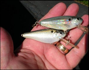 Click image for larger version

Name:	Shad and herring pattern.jpg
Views:	313
Size:	40.9 KB
ID:	4893