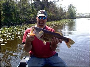 Click image for larger version

Name:	21 inches long 6 lbs.  4-10-10.jpg
Views:	341
Size:	46.3 KB
ID:	4968