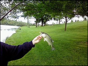 Click image for larger version

Name:	fishing 3.JPG
Views:	360
Size:	419.6 KB
ID:	5117