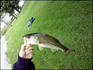 Click image for larger version

Name:	fishing 4.jpg
Views:	360
Size:	158.9 KB
ID:	5119