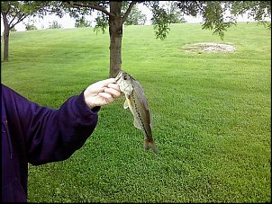 Click image for larger version

Name:	fishing 5.JPG
Views:	377
Size:	449.0 KB
ID:	5121