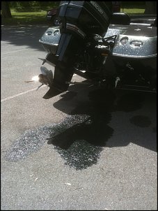 Click image for larger version

Name:	IMG_0348.jpg
Views:	1371
Size:	487.7 KB
ID:	5144