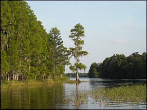 Click image for larger version

Name:	10.jpg
Views:	795
Size:	274.1 KB
ID:	5175