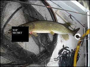 Click image for larger version

Name:	14.jpg
Views:	786
Size:	342.6 KB
ID:	5179