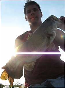 Click image for larger version

Name:	Untitled.jpg
Views:	794
Size:	41.1 KB
ID:	5180