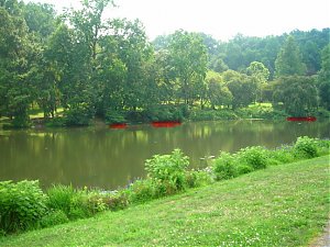 Click image for larger version

Name:	crankypond11.jpg
Views:	365
Size:	145.8 KB
ID:	527