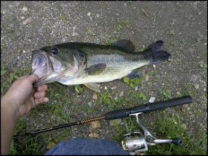 Click image for larger version

Name:	droid pics 1002.jpg
Views:	418
Size:	33.8 KB
ID:	5360