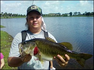 Click image for larger version

Name:	PB bass.jpg
Views:	341
Size:	267.2 KB
ID:	5421