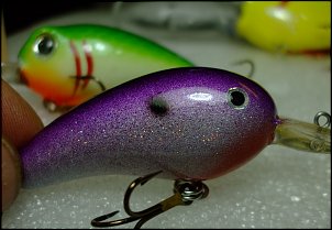 Click image for larger version

Name:	Crankbait-repaints.jpg
Views:	517
Size:	82.0 KB
ID:	5839