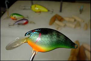 Click image for larger version

Name:	Crankbaits-1.jpg
Views:	515
Size:	24.8 KB
ID:	5840