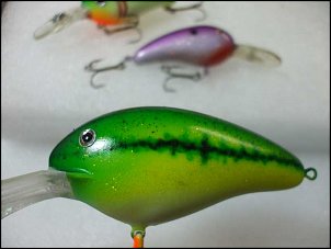 Click image for larger version

Name:	Crankbaits-2.jpg
Views:	501
Size:	20.9 KB
ID:	5841