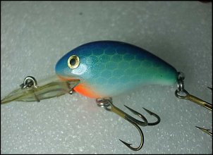 Click image for larger version

Name:	Crankbaits-4.jpg
Views:	491
Size:	26.6 KB
ID:	5843