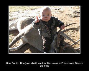 Click image for larger version

Name:	christmas deer.jpg
Views:	323
Size:	77.0 KB
ID:	6031