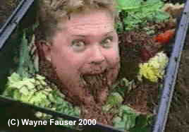 Name:  worm4eat.jpg
Views: 3823
Size:  33.4 KB