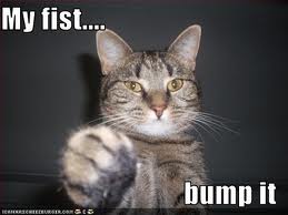 Name:  cat.jpg
Views: 783
Size:  7.2 KB