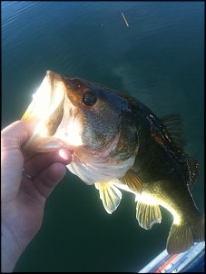 Click image for larger version

Name:	002.jpg
Views:	862
Size:	350.0 KB
ID:	6141