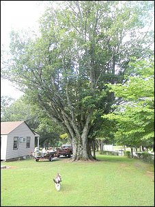 Click image for larger version

Name:	DSCN0212.jpg
Views:	1055
Size:	318.0 KB
ID:	6241