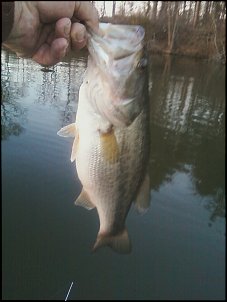 Click image for larger version

Name:	John's bass.jpg
Views:	360
Size:	184.2 KB
ID:	6287