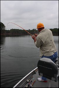 Click image for larger version

Name:	10.JPG
Views:	740
Size:	384.6 KB
ID:	6294