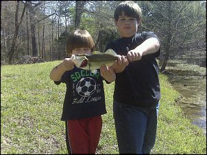 Click image for larger version

Name:	IMG00886.jpg
Views:	915
Size:	106.4 KB
ID:	6412