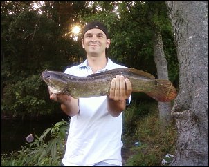 Click image for larger version

Name:	bowfin.jpg
Views:	780
Size:	284.3 KB
ID:	6447