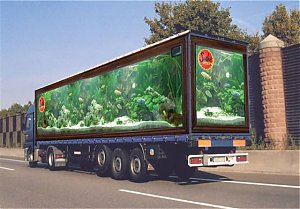 Click image for larger version

Name:	file0035.jpg
Views:	414
Size:	52.4 KB
ID:	658