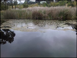 Click image for larger version

Name:	001.jpg
Views:	1131
Size:	443.1 KB
ID:	6583