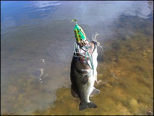 Click image for larger version

Name:	003.jpg
Views:	1135
Size:	292.9 KB
ID:	6584