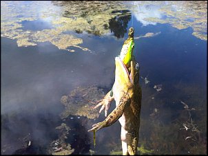 Click image for larger version

Name:	005.jpg
Views:	1143
Size:	312.1 KB
ID:	6586