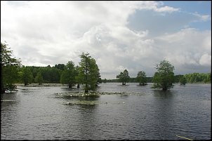 Click image for larger version

Name:	santee 2011 012.JPG
Views:	1206
Size:	105.6 KB
ID:	6657