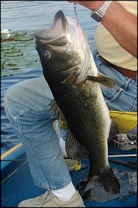 Click image for larger version

Name:	santee 2011 009.JPG
Views:	1207
Size:	94.4 KB
ID:	6658