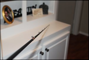 Click image for larger version

Name:	IMG_3780.JPG
Views:	1850
Size:	156.8 KB
ID:	6689