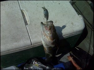 Click image for larger version

Name:	IMG00938.jpg
Views:	793
Size:	271.3 KB
ID:	6753