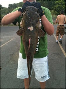 Click image for larger version

Name:	IMG_6342.jpg
Views:	1046
Size:	217.1 KB
ID:	6838