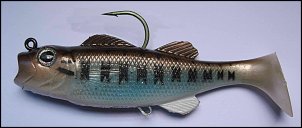Click image for larger version

Name:	baby bass Real Fish Bait.jpg
Views:	413
Size:	127.3 KB
ID:	6914