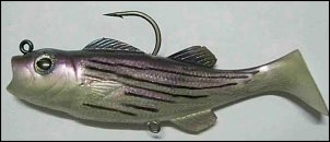 Click image for larger version

Name:	5_inch_baby_bass_-_striper.jpg
Views:	422
Size:	31.3 KB
ID:	6915