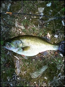 Click image for larger version

Name:	LMB2.JPG
Views:	2288
Size:	386.4 KB
ID:	6957