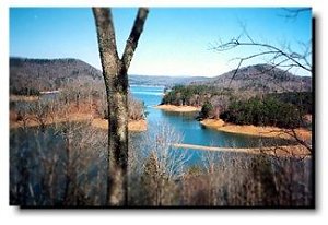 Click image for larger version

Name:	norris.jpg
Views:	564
Size:	19.9 KB
ID:	704