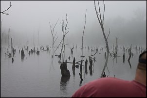 Click image for larger version

Name:	085.JPG
Views:	607
Size:	67.2 KB
ID:	7132